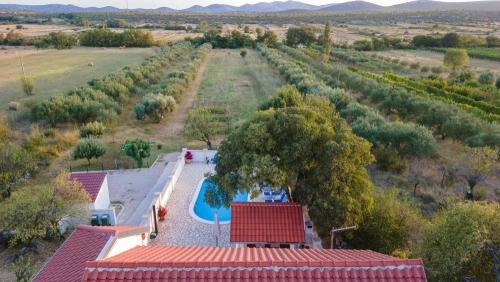 villa grandfather courtyard 2024 03-min